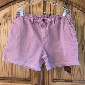 Men's Chubbie’s 5.5” Inseam pink flat front chino shorts size XL